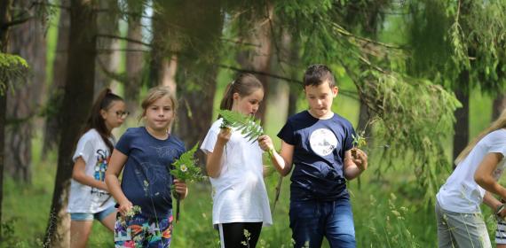 Zariadenie lesnej pedagogiky